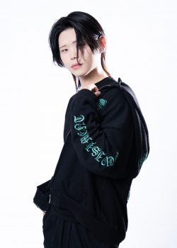 紫帆