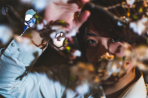 夜桜 陸