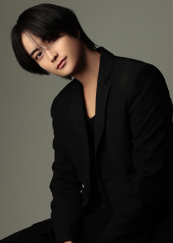 司