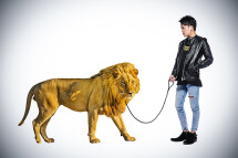 一条 心
