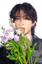 菫