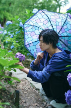 雨