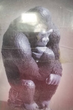 運営B