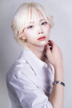 白雪嶺桜